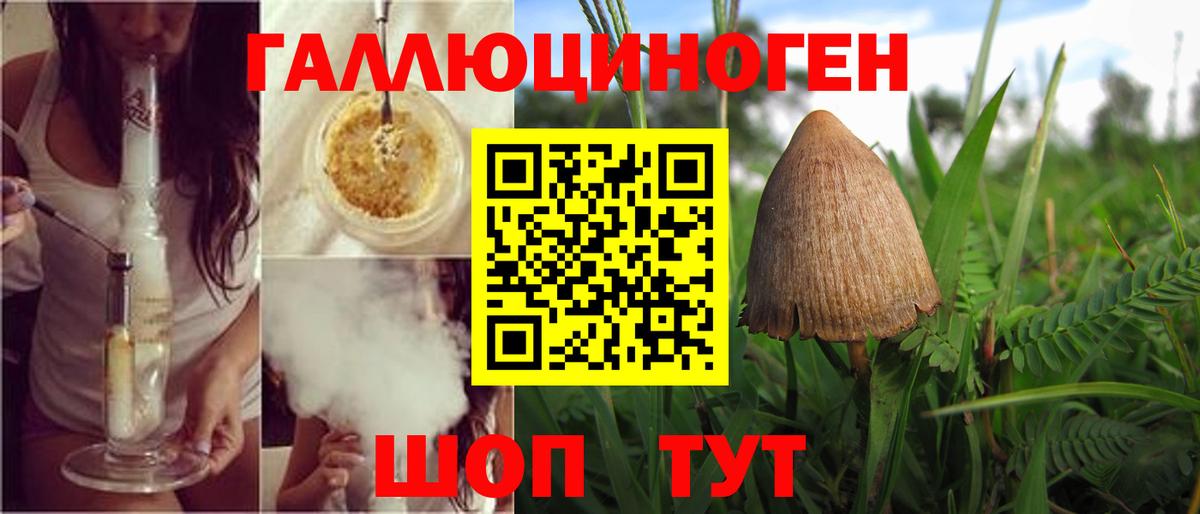 Псилоцибиновые грибы MAGIC MUSHROOMS Карасук